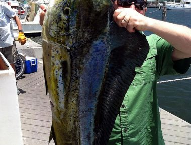 Insurance Incentive Trip Key West Florida Group Fishing Excursion Big Fish